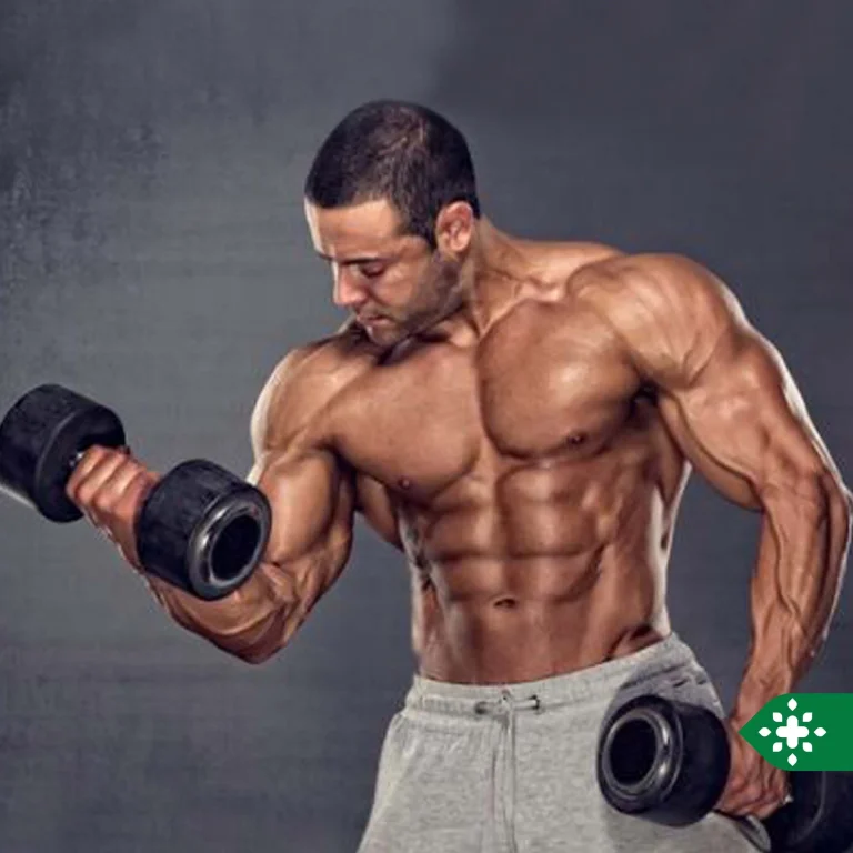 رعایت کردن چه نکاتی موجب بازدهی بیشتر در تمرینات  رشته پرورش اندام میشود؟