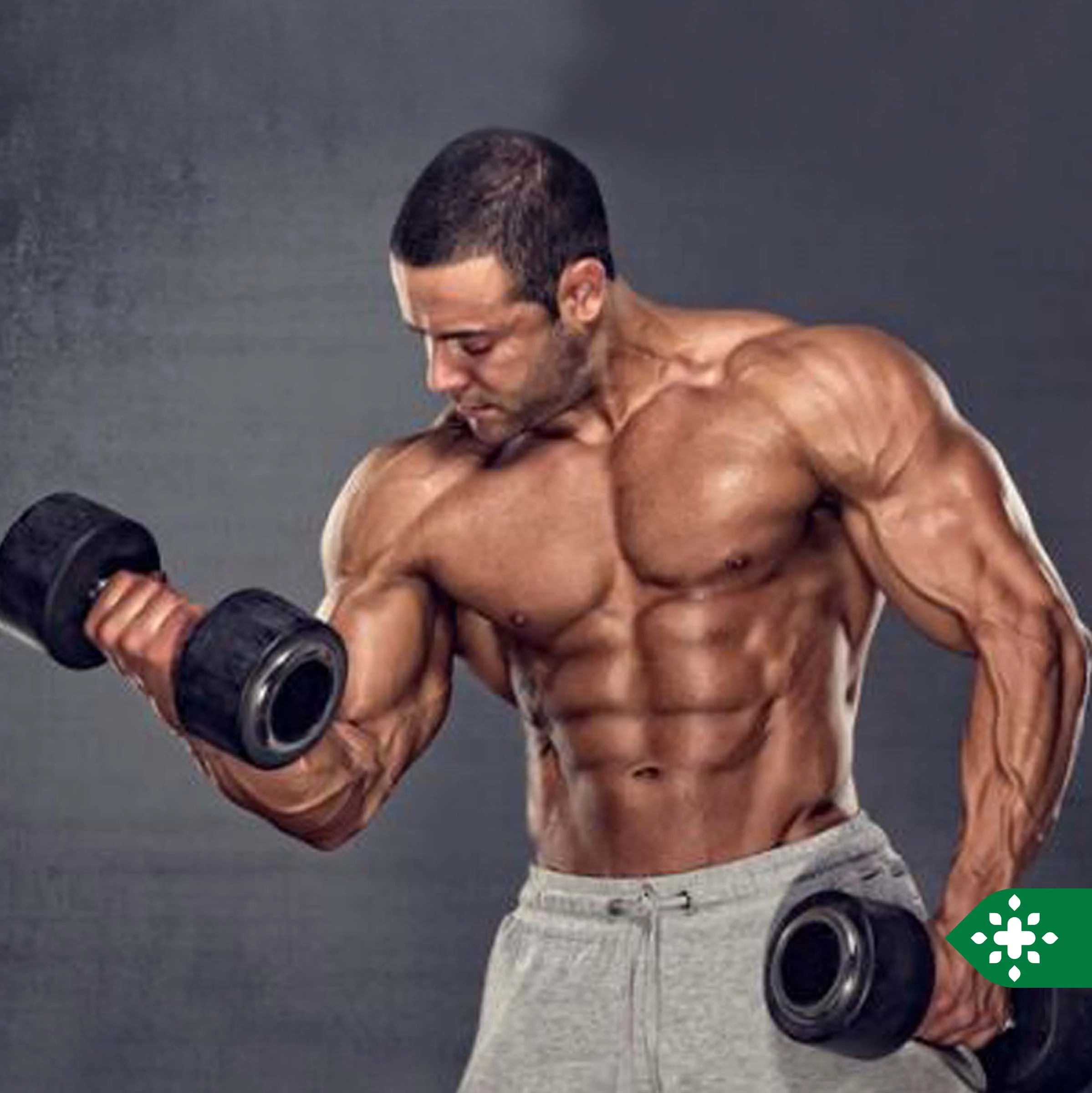 رعایت کردن چه نکاتی موجب بازدهی بیشتر در تمرینات  رشته پرورش اندام میشود؟