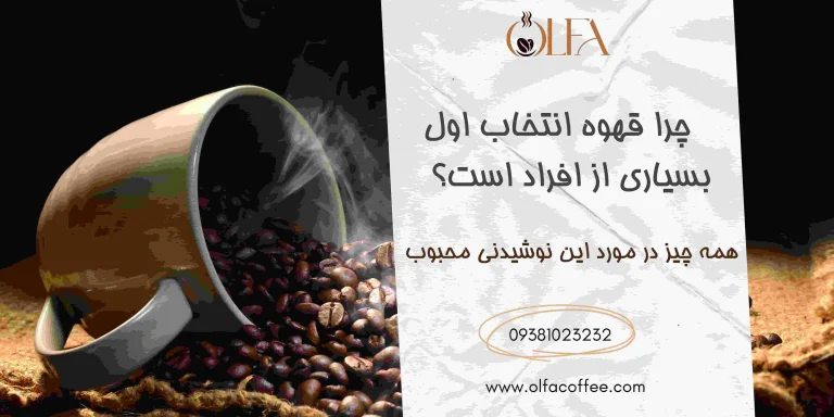 چرا قهوه انتخاب اول بسیاری از افراد است؟ همه چیز در مورد این نوشیدنی محبوب