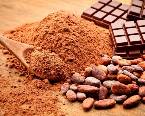 پودر کاکائو از کجا بخریم ؟