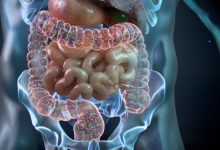 مولکول TMA و نقش میکروبیوم روده در مهار التهاب و بهبود متابولیسم