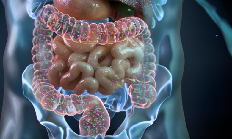 مولکول TMA و نقش میکروبیوم روده در مهار التهاب و بهبود متابولیسم