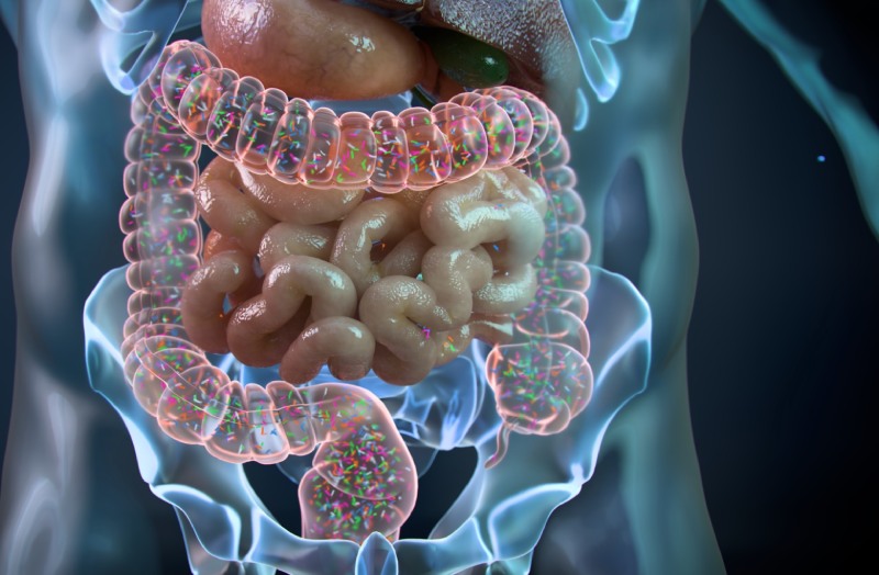 مولکول TMA و نقش میکروبیوم روده در مهار التهاب و بهبود متابولیسم