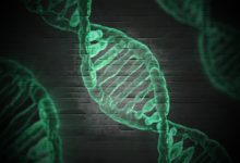 کشف نقش کلیدی ژن GRIN2A در شکل‌ گیری اختلالات روانی