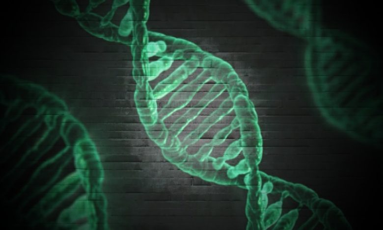 کشف نقش کلیدی ژن GRIN2A در شکل‌ گیری اختلالات روانی