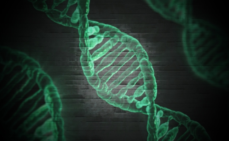 کشف نقش کلیدی ژن GRIN2A در شکل‌ گیری اختلالات روانی